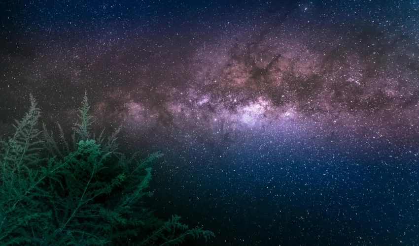 monika zjawińska, kwiecień 2026, wiadomości astrologiczne, horoskop miesięczny astrologiczny