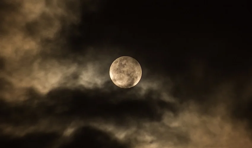 monika zjawińska, styczeń 2025, wiadomości astrologiczne, horoskop miesięczny astrologiczny