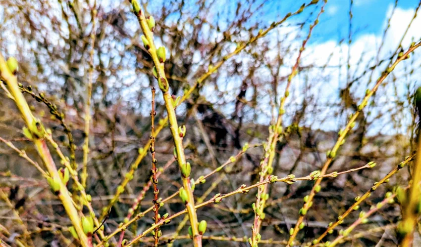 Wiosenna promocja AbrahadabraPL