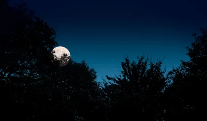 monika zjawińska, styczeń 2026, wiadomości astrologiczne, horoskop miesięczny astrologiczny