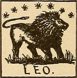 Lew