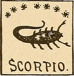Skorpion