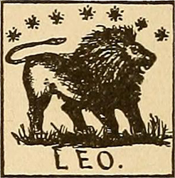 lew, horoskop miesięczny, styczeń 2019